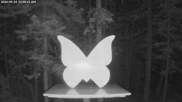 time-lapse frame, Storm Cam webcam