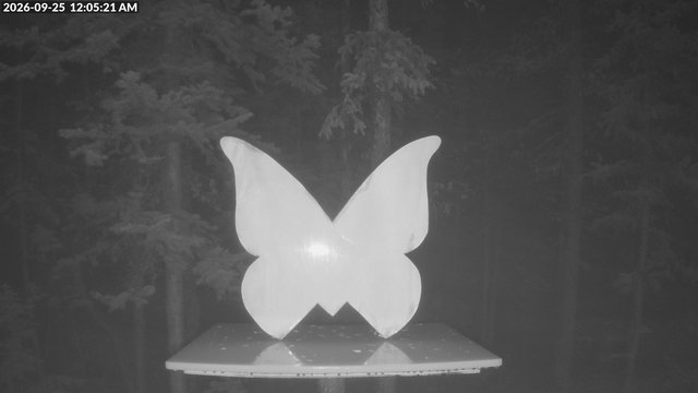 time-lapse frame, Storm Cam webcam