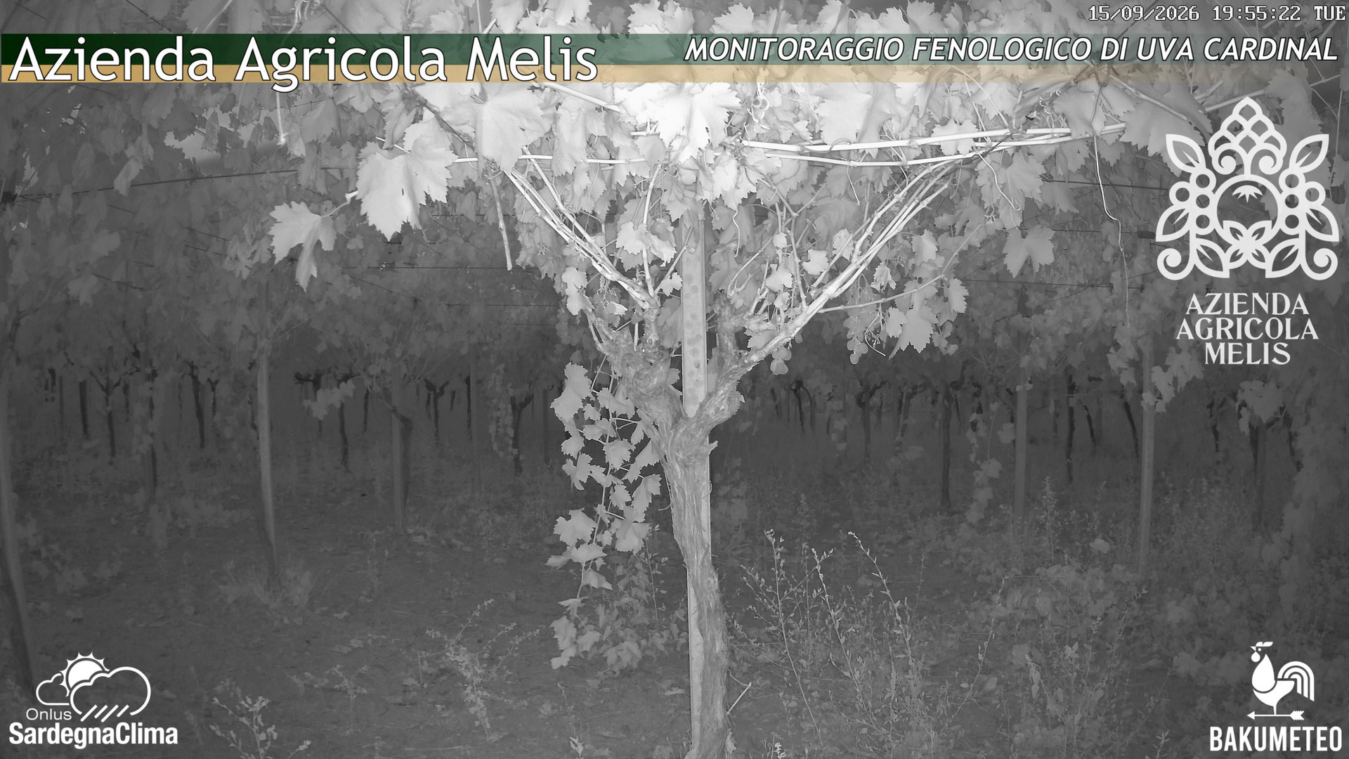 Bari Sardo - Feno... animated GIF