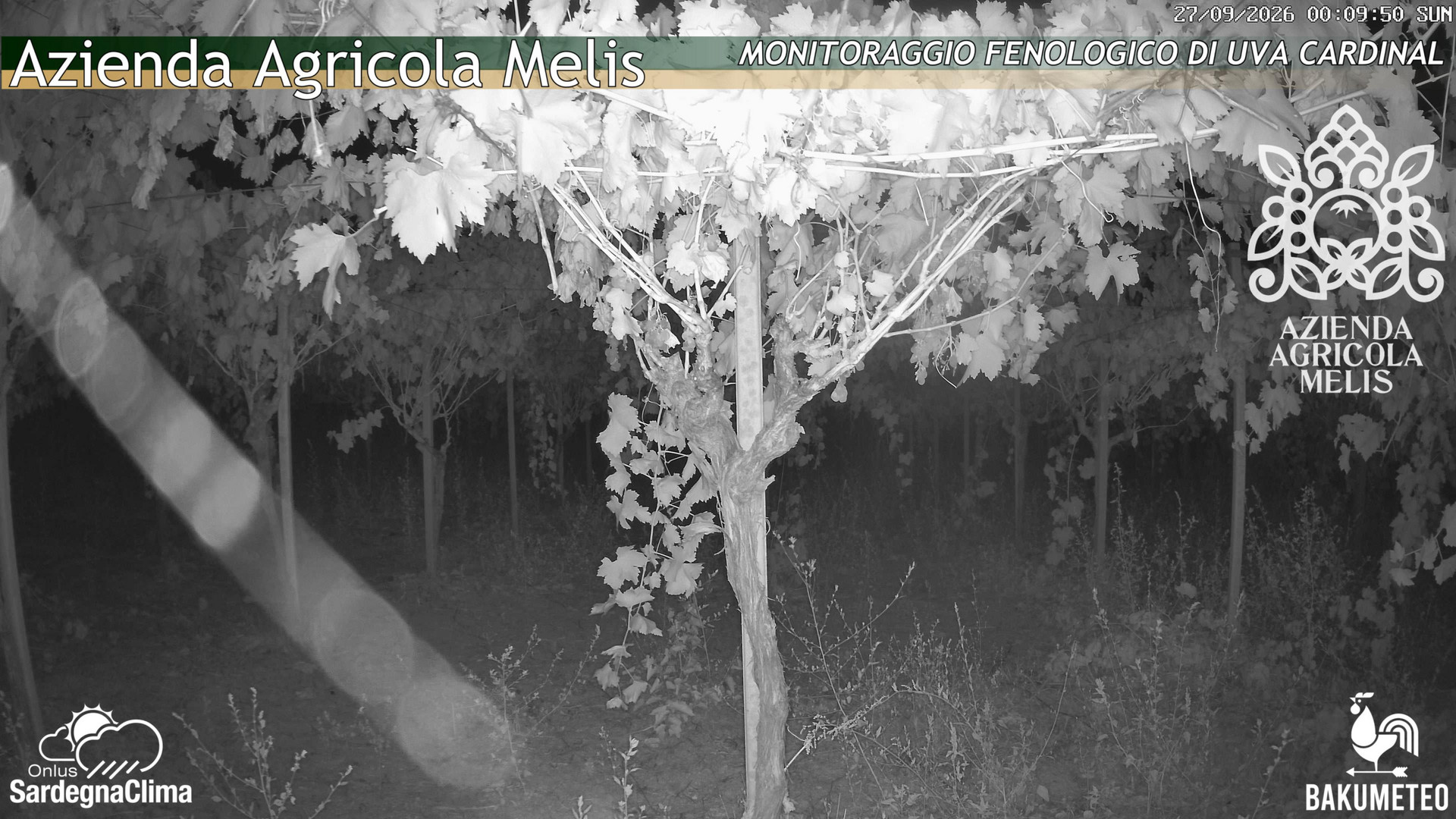 time-lapse frame, Bari Sardo - Fenologica webcam
