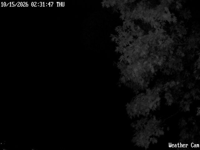 Sparta WX animated GIF