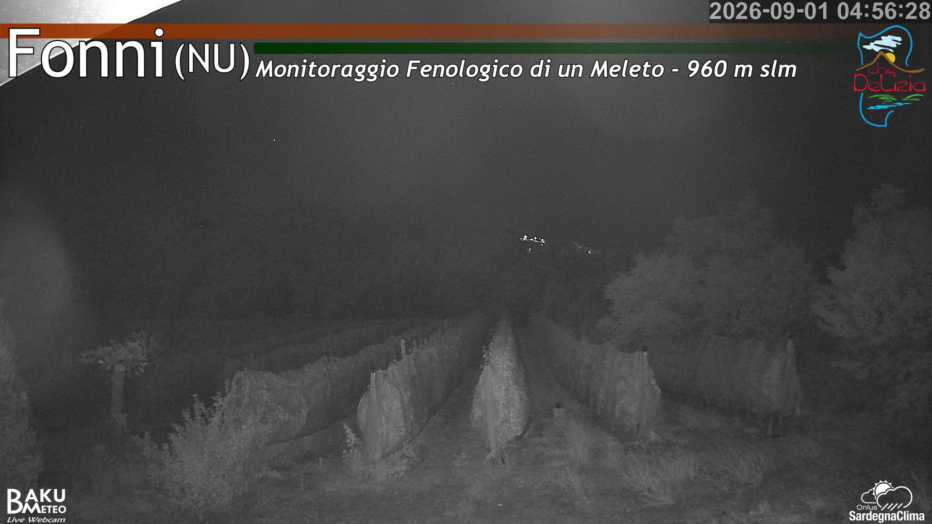 time-lapse frame, Fonni Meleto webcam
