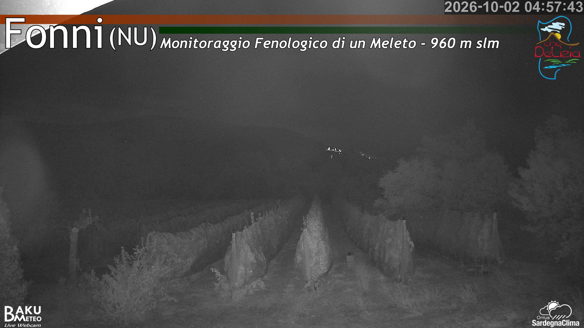 time-lapse frame, Fonni Meleto webcam
