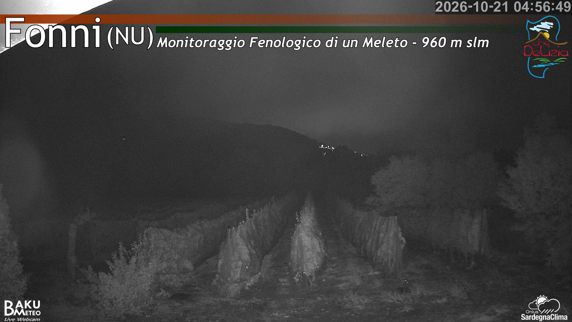 time-lapse frame, Fonni Meleto webcam