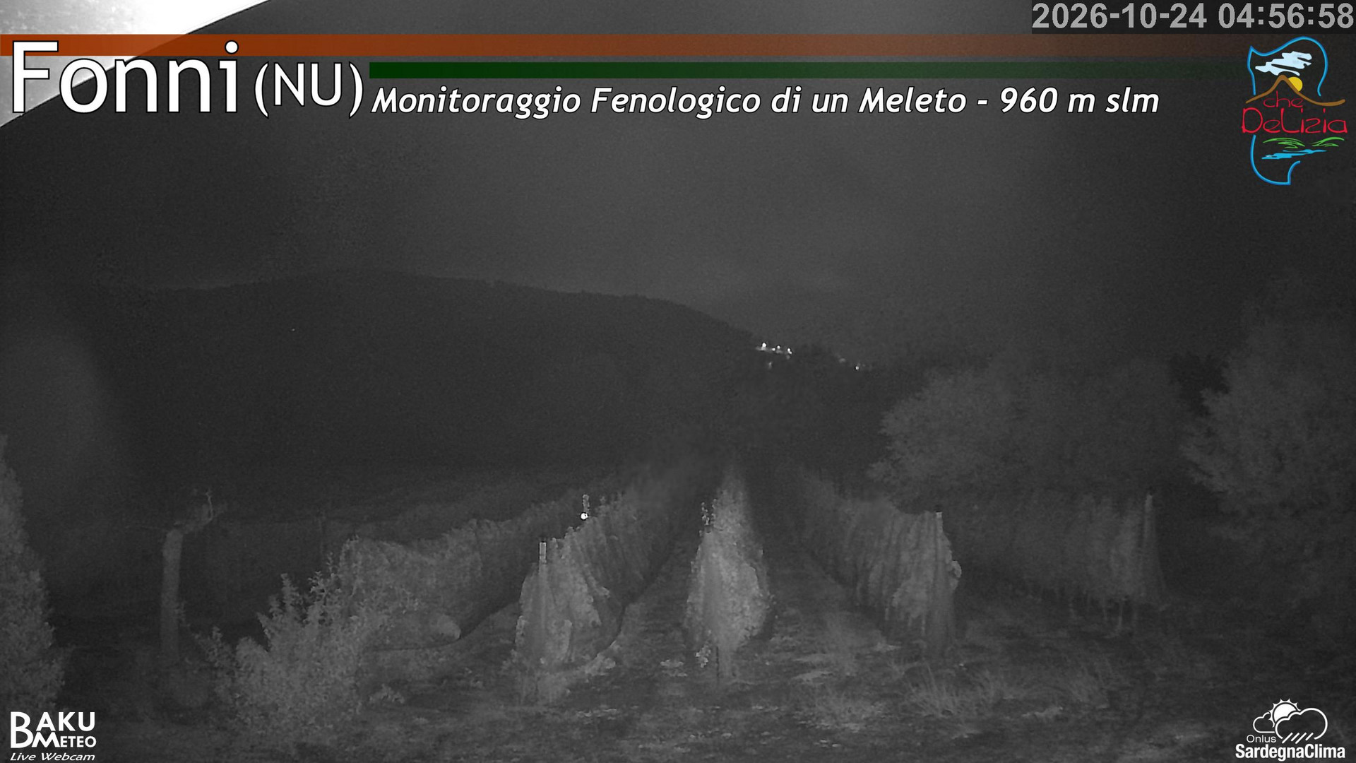 time-lapse frame, Fonni Meleto webcam