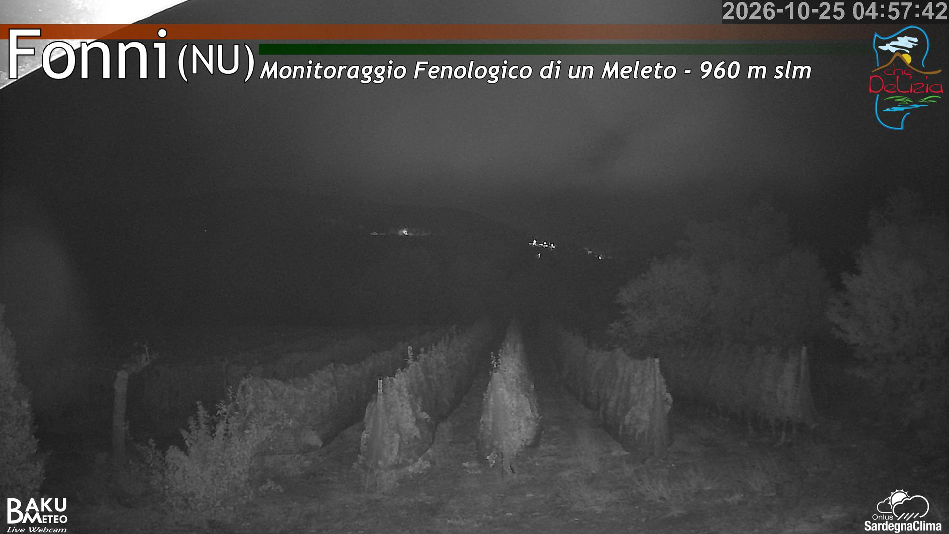 time-lapse frame, Fonni Meleto webcam