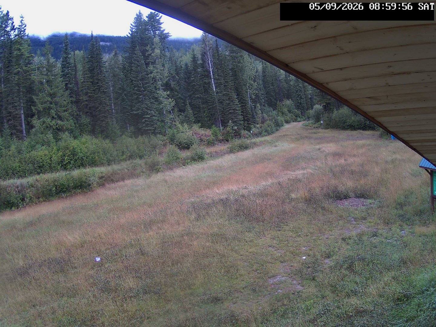 time-lapse frame, Stadium.Cam webcam