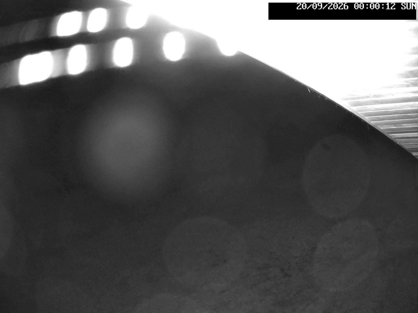 time-lapse frame, Stadium.Cam webcam
