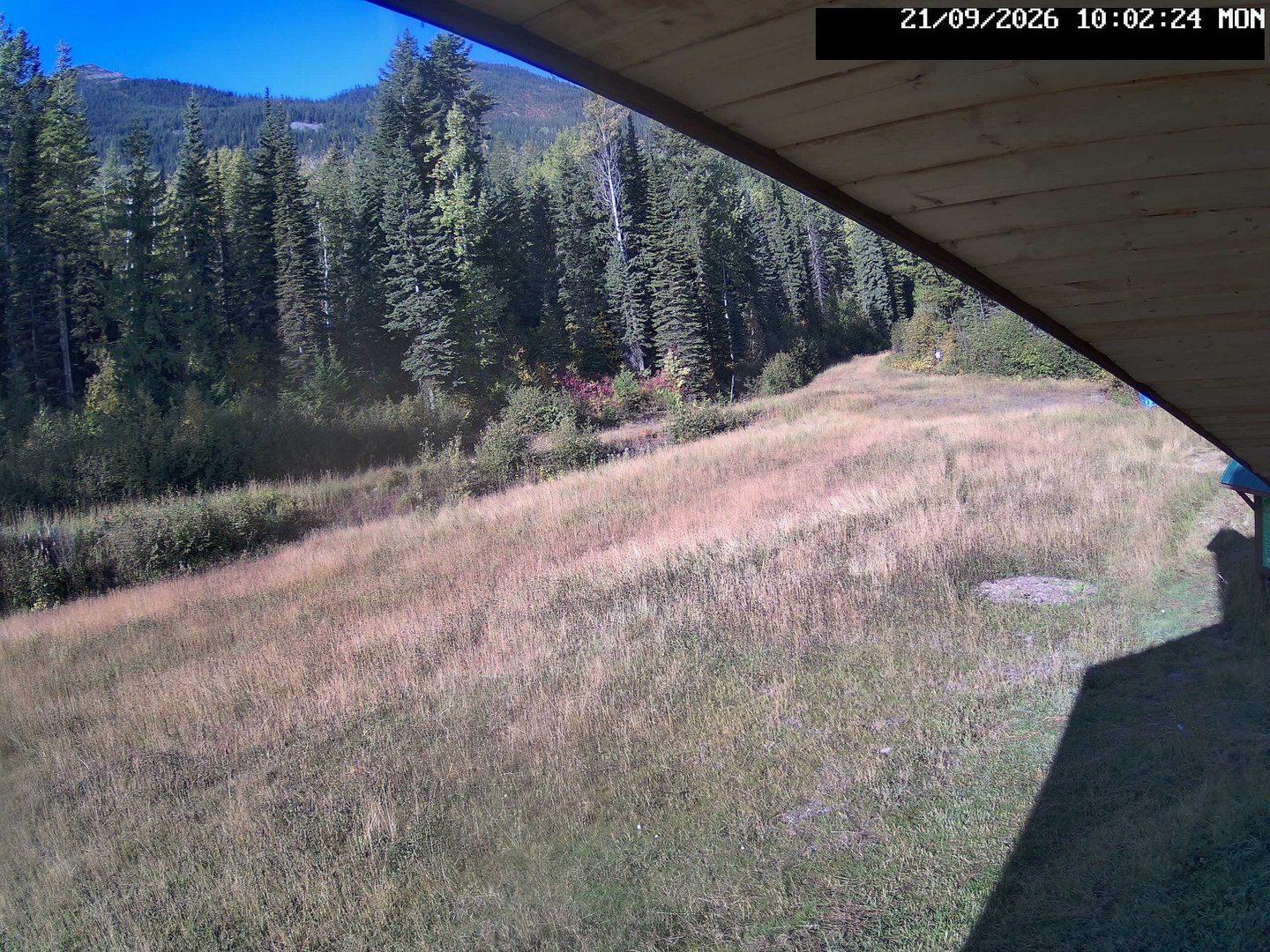 view from Stadium.Cam on 2026-09-21