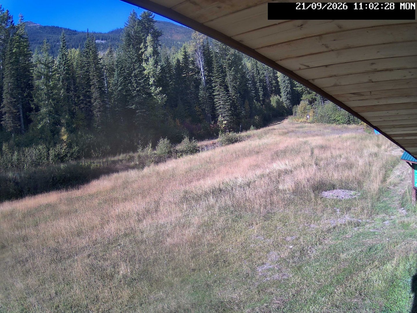 view from Stadium.Cam on 2026-09-21
