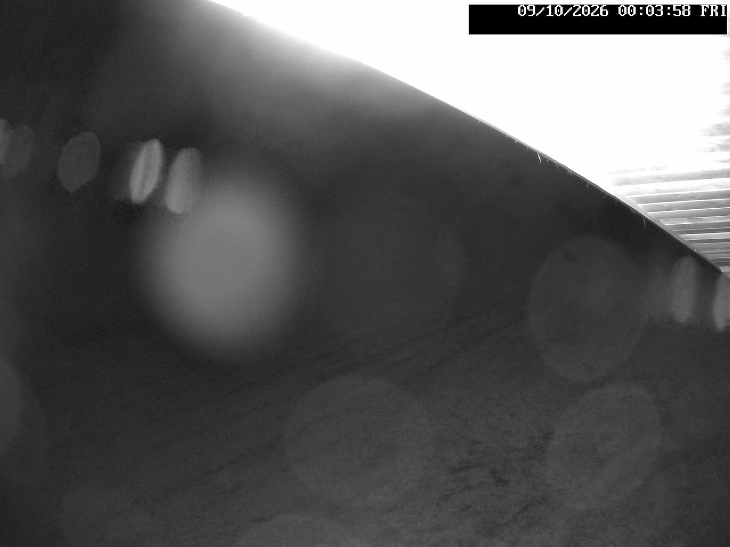 time-lapse frame, Stadium.Cam webcam