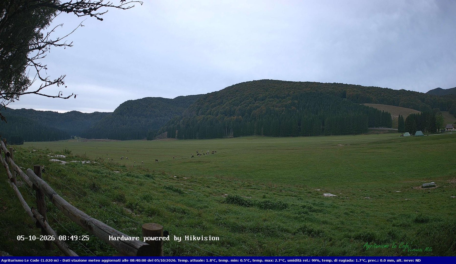 view from Webcam Cansiglio - verso la piana dei "Bech" on 2026-10-05