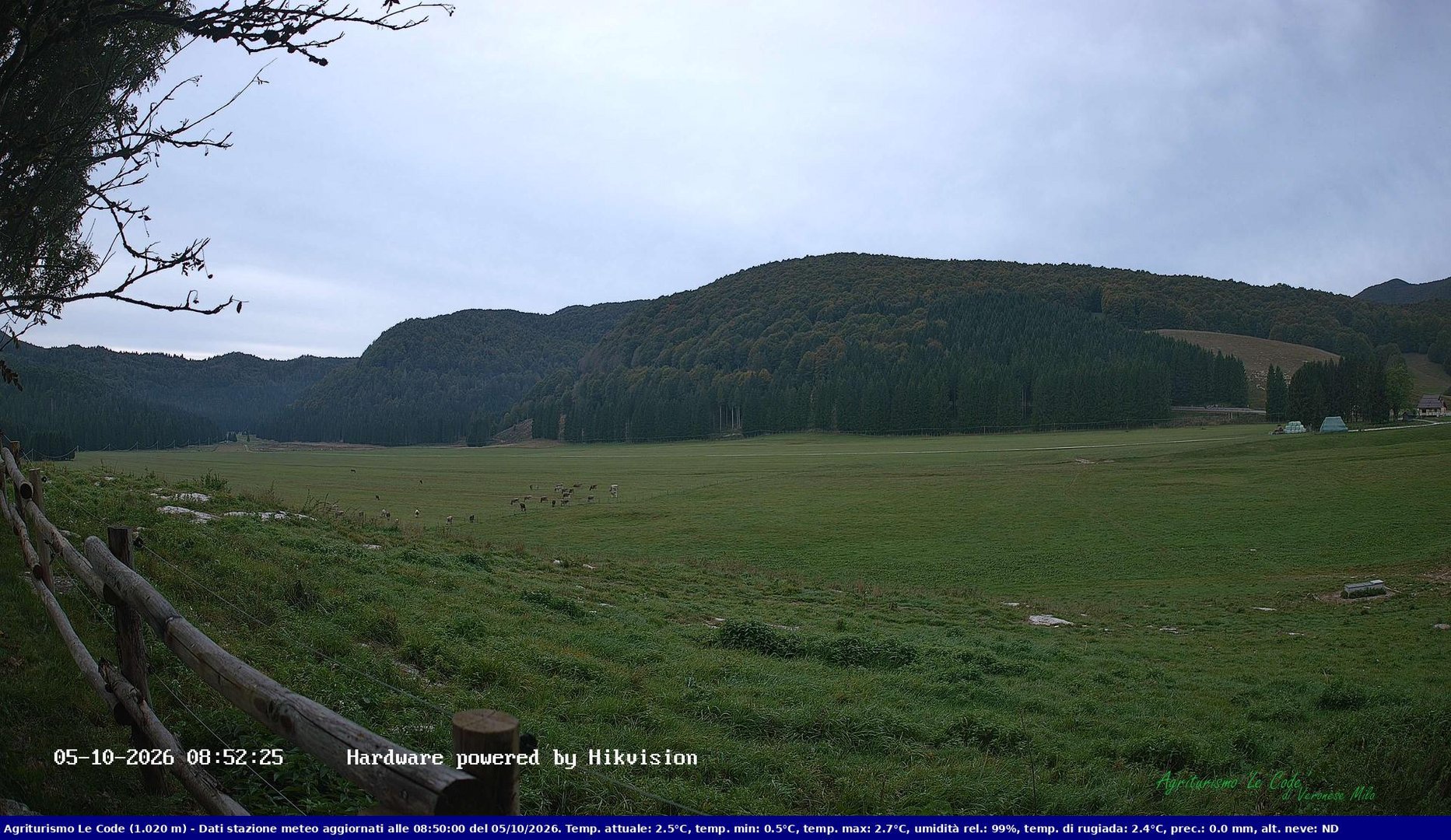 view from Webcam Cansiglio - verso la piana dei "Bech" on 2026-10-05