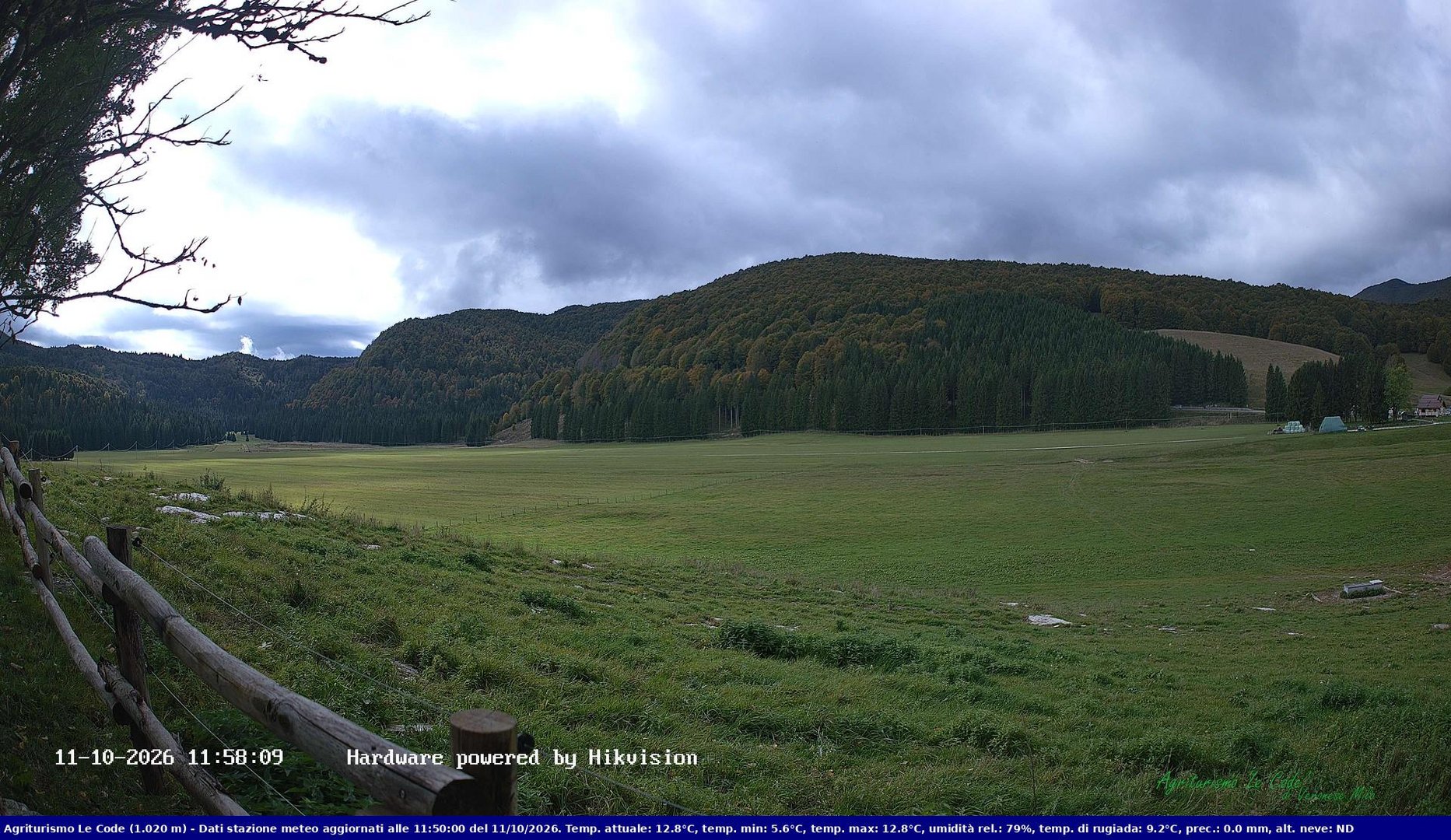 view from Webcam Cansiglio - verso la piana dei "Bech" on 2026-10-11