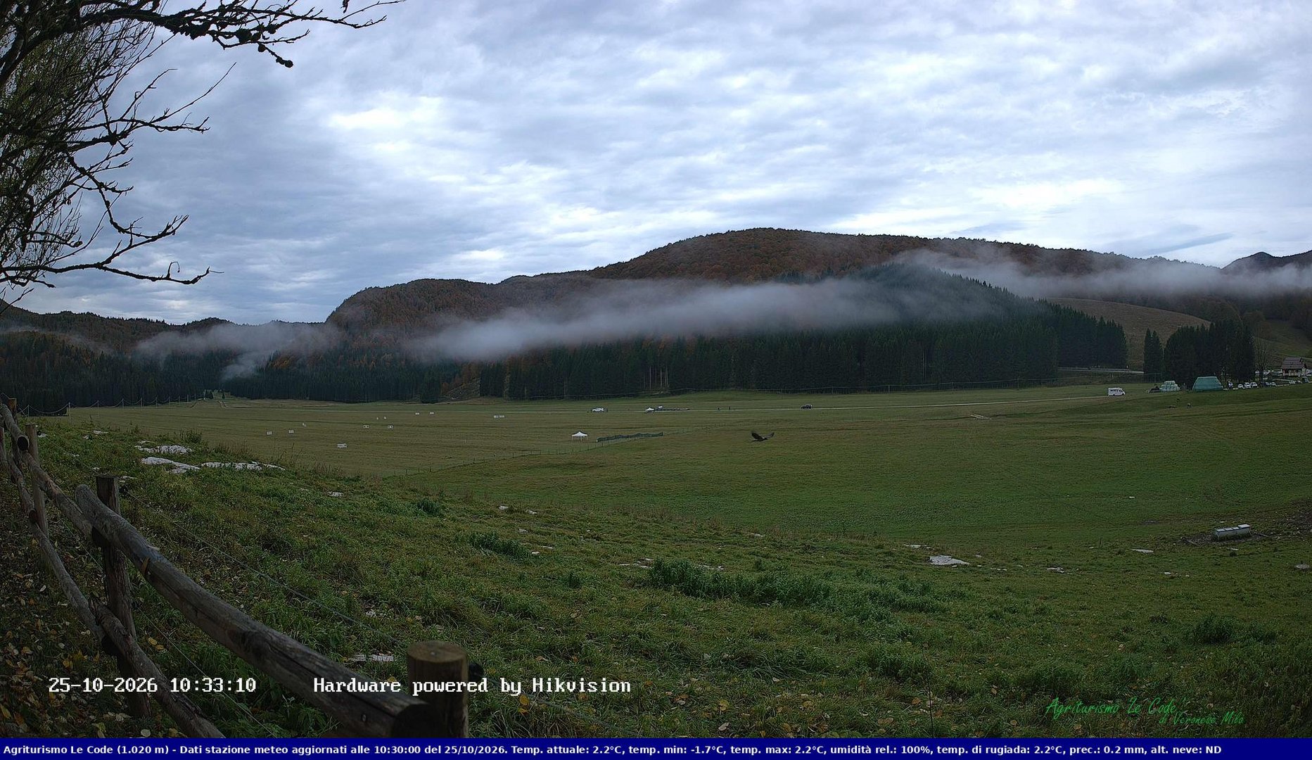 view from Webcam Cansiglio - verso la piana dei "Bech" on 2026-10-25