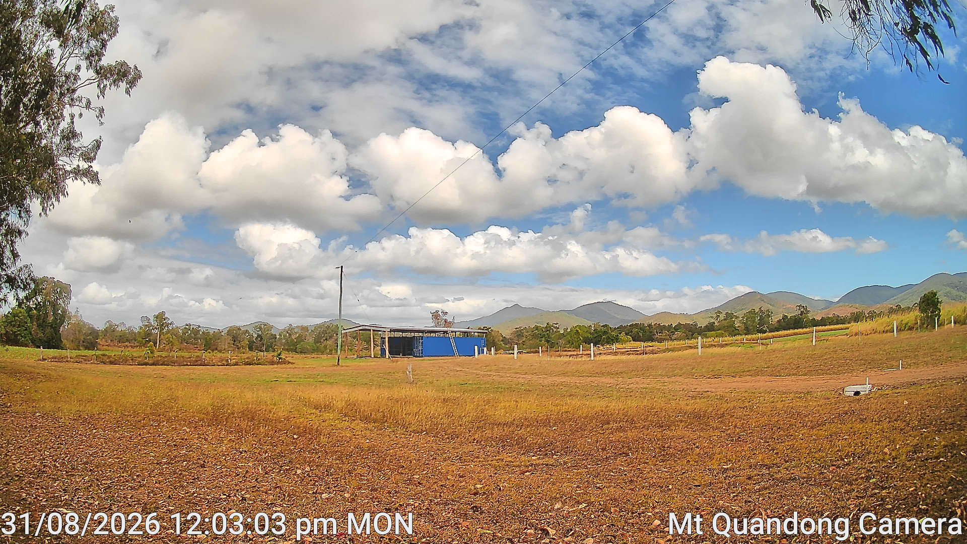 view from Mt Quandong Camera on 2026-08-31