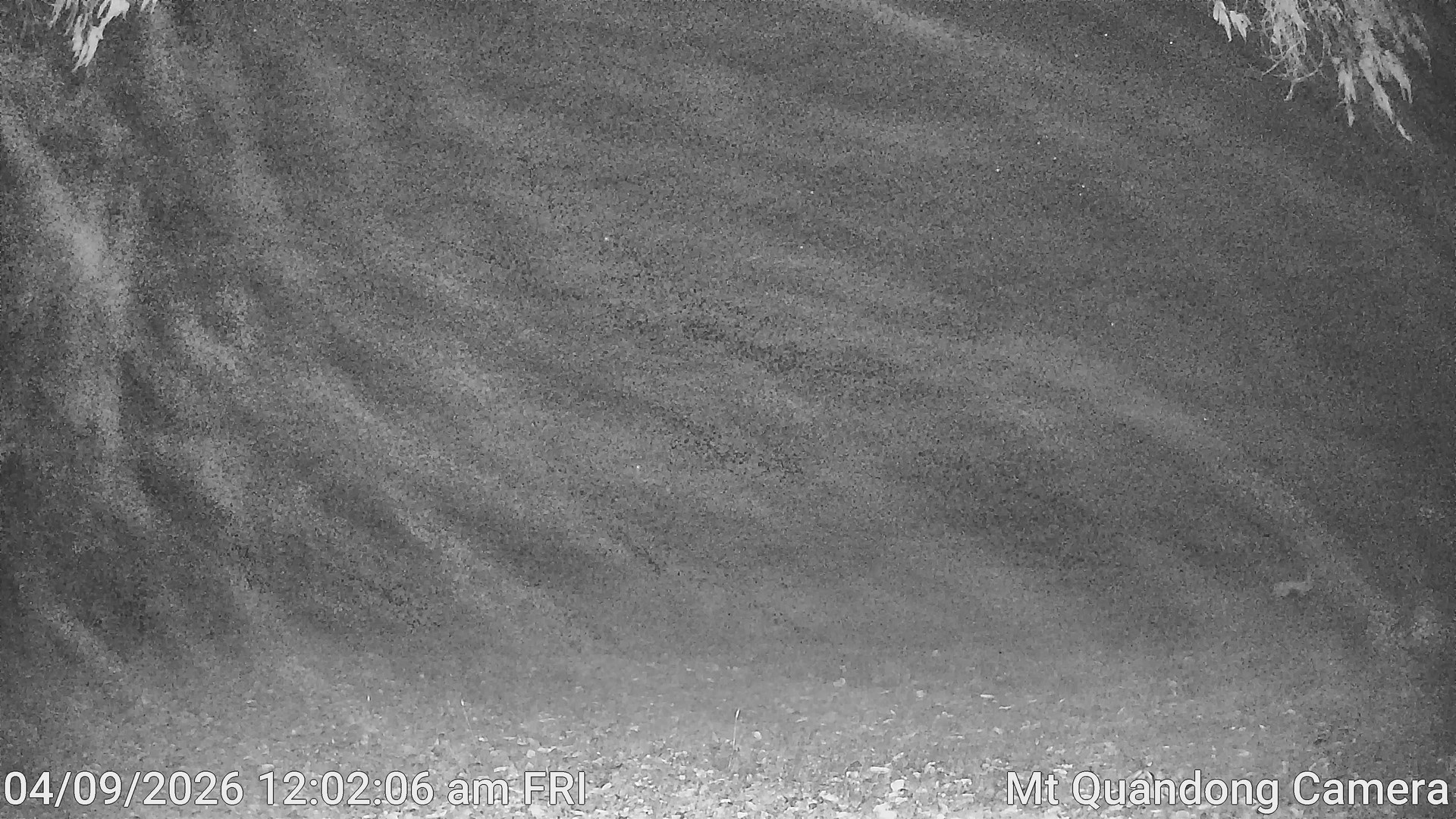 time-lapse frame, Mt Quandong Camera webcam