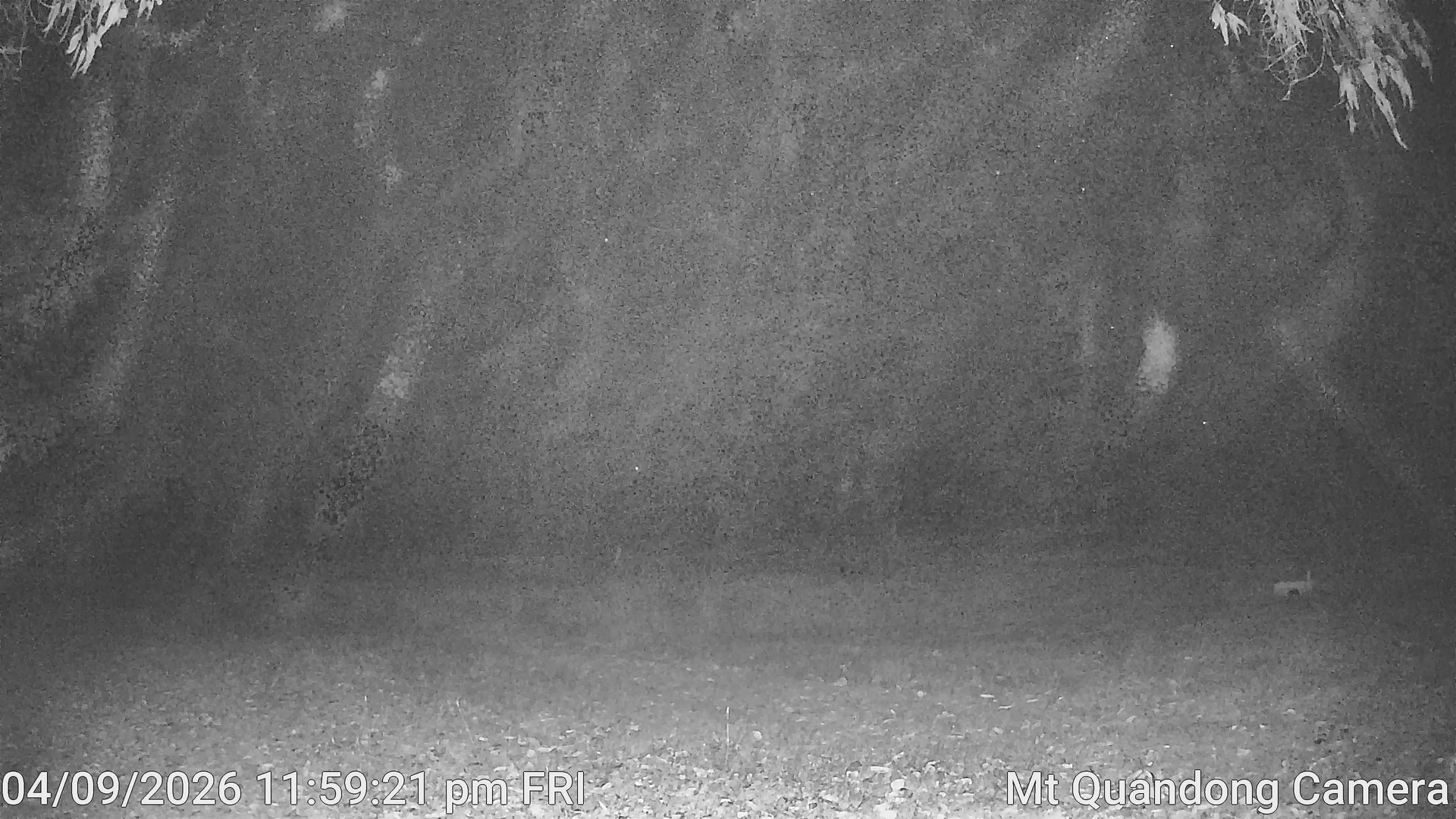 time-lapse frame, Mt Quandong Camera webcam