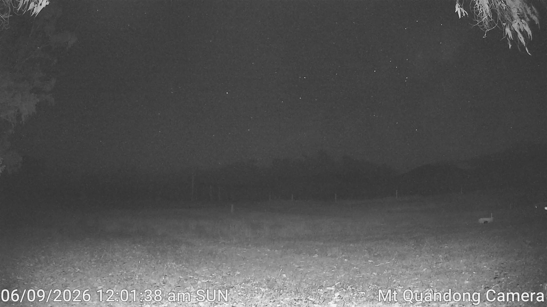time-lapse frame, Mt Quandong Camera webcam