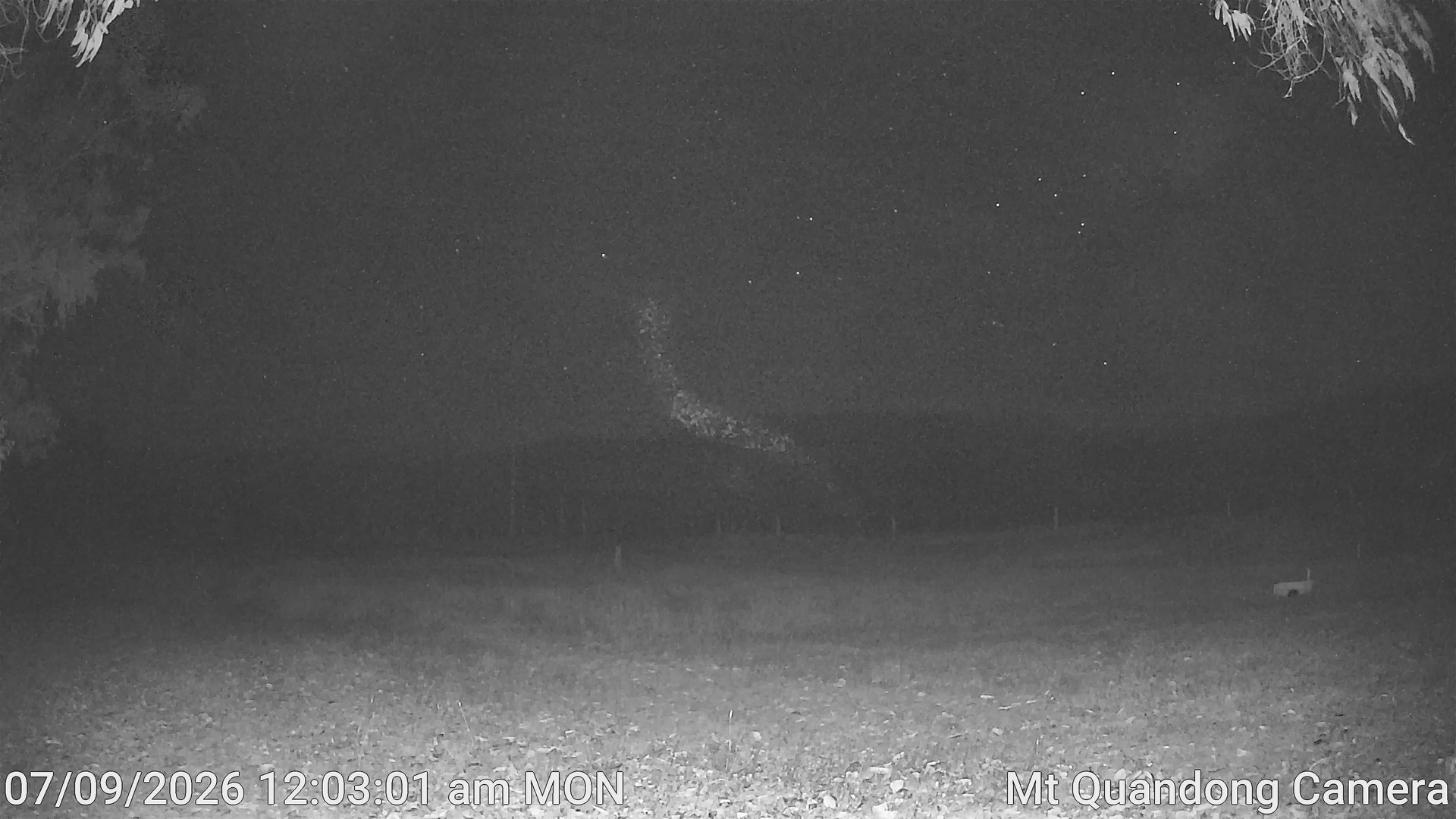 time-lapse frame, Mt Quandong Camera webcam