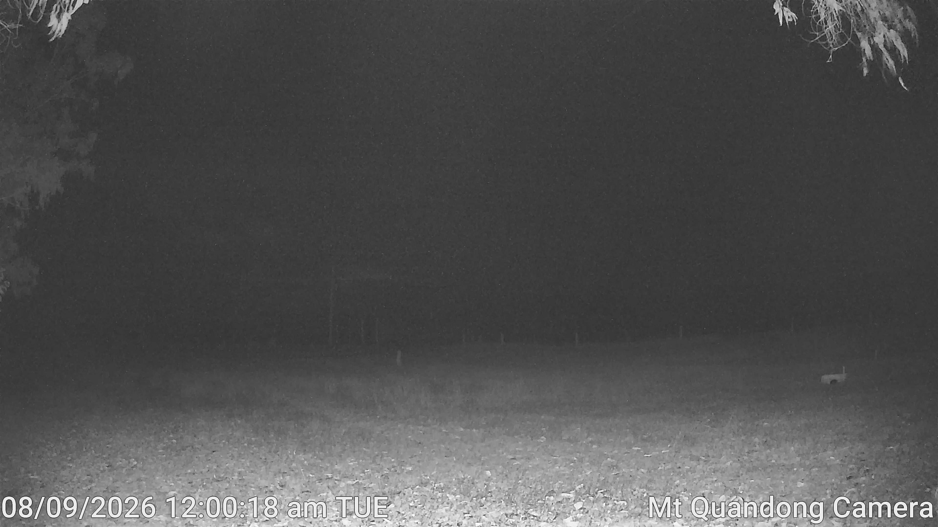 time-lapse frame, Mt Quandong Camera webcam