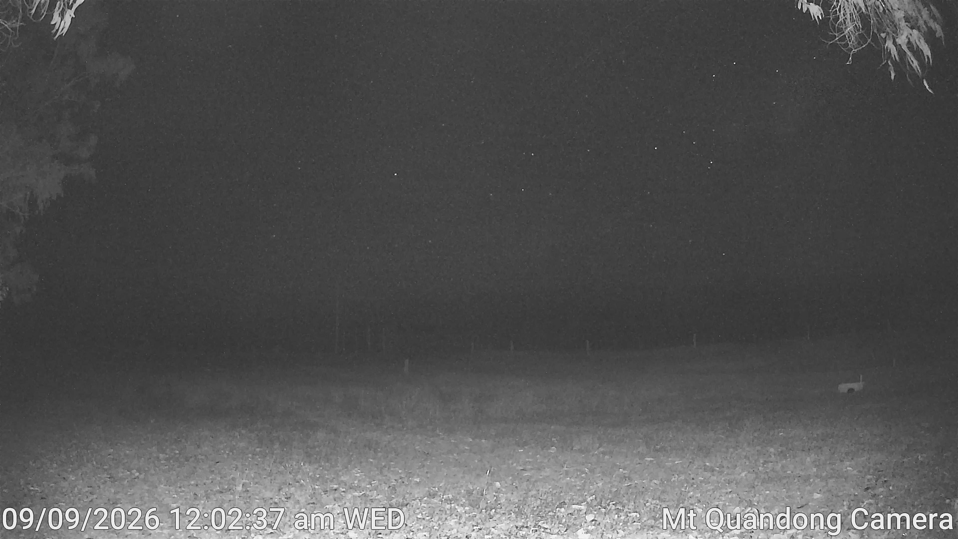 time-lapse frame, Mt Quandong Camera webcam