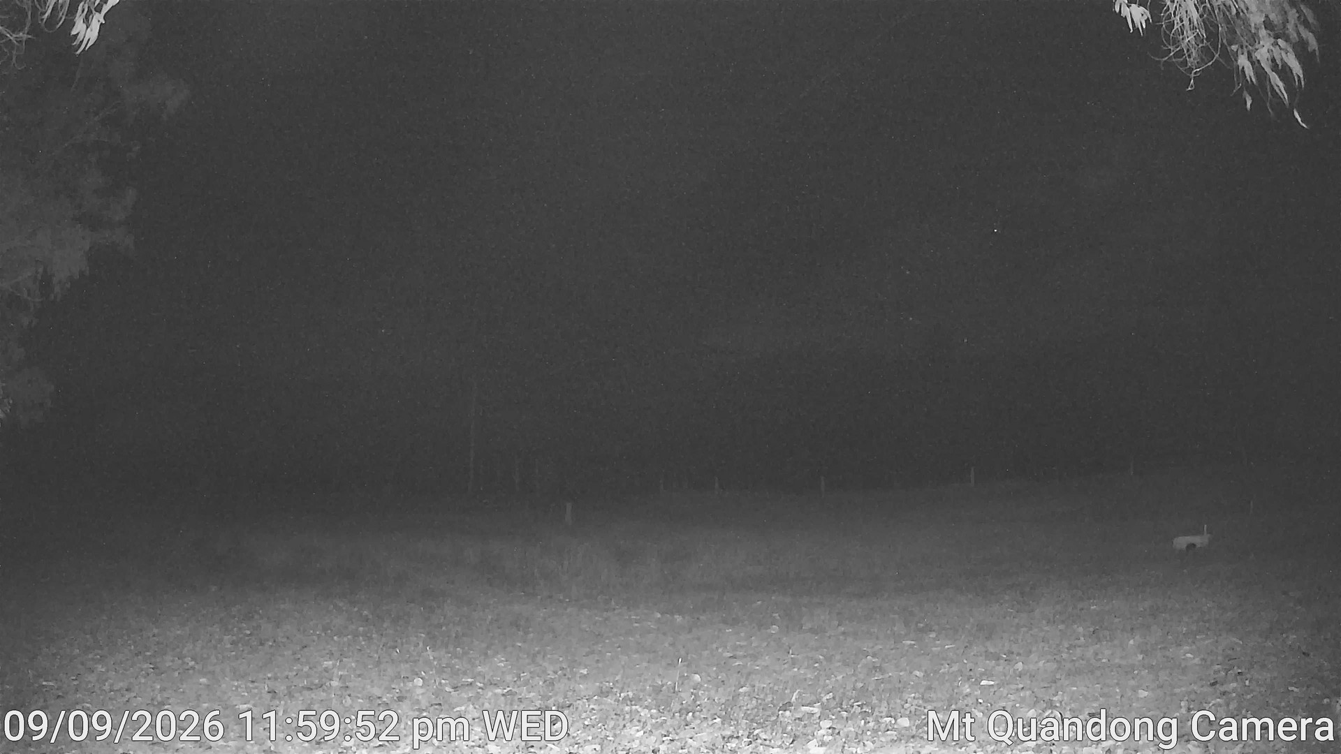 time-lapse frame, Mt Quandong Camera webcam
