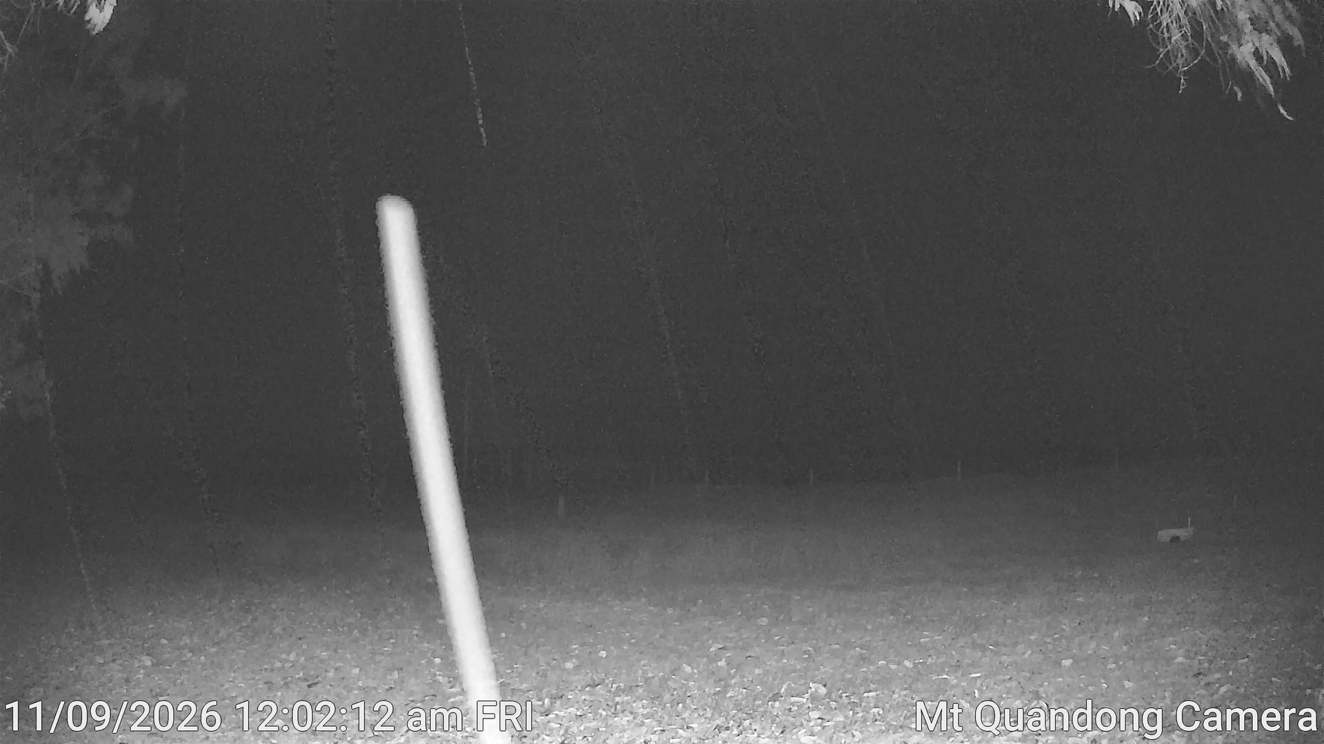 time-lapse frame, Mt Quandong Camera webcam