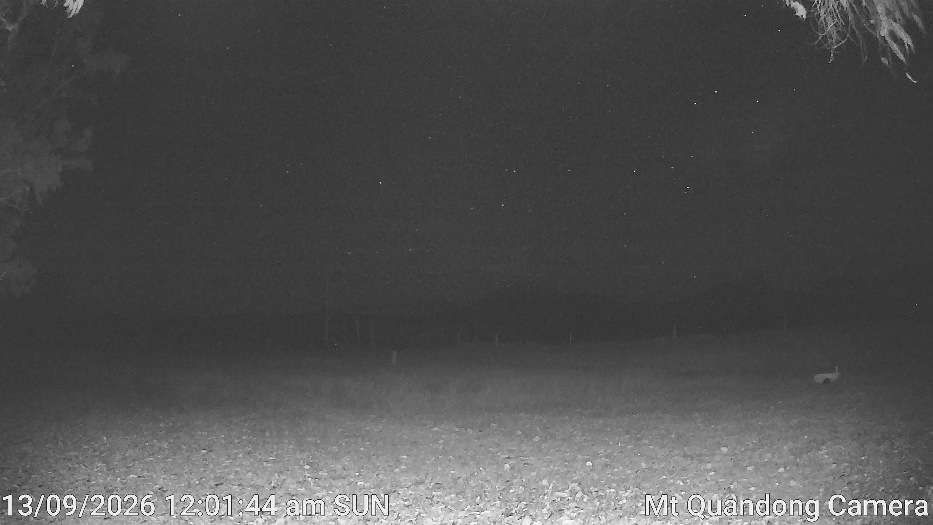 time-lapse frame, Mt Quandong Camera webcam