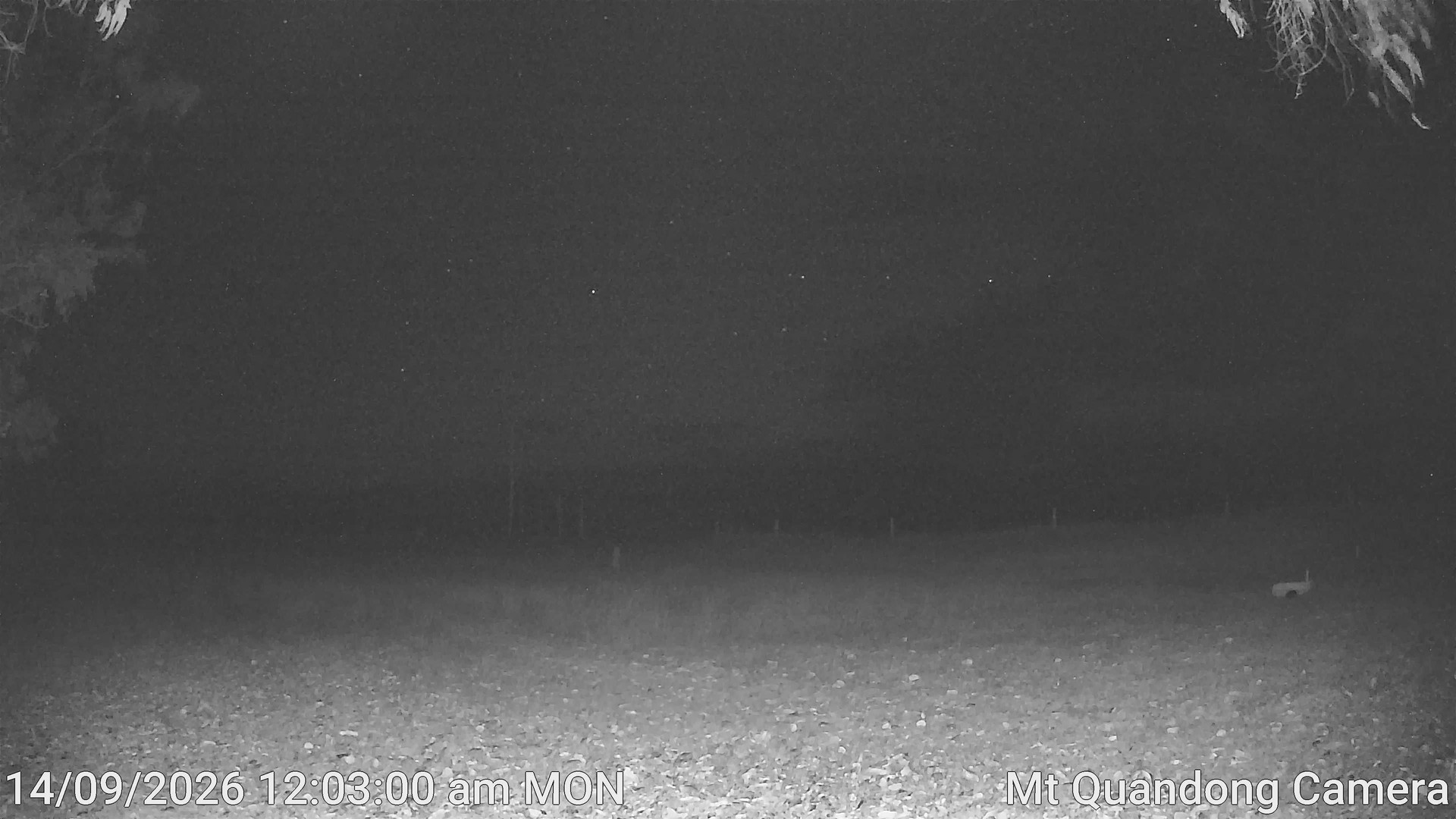 time-lapse frame, Mt Quandong Camera webcam