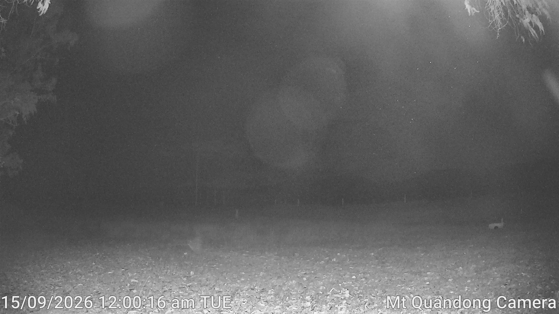 time-lapse frame, Mt Quandong Camera webcam