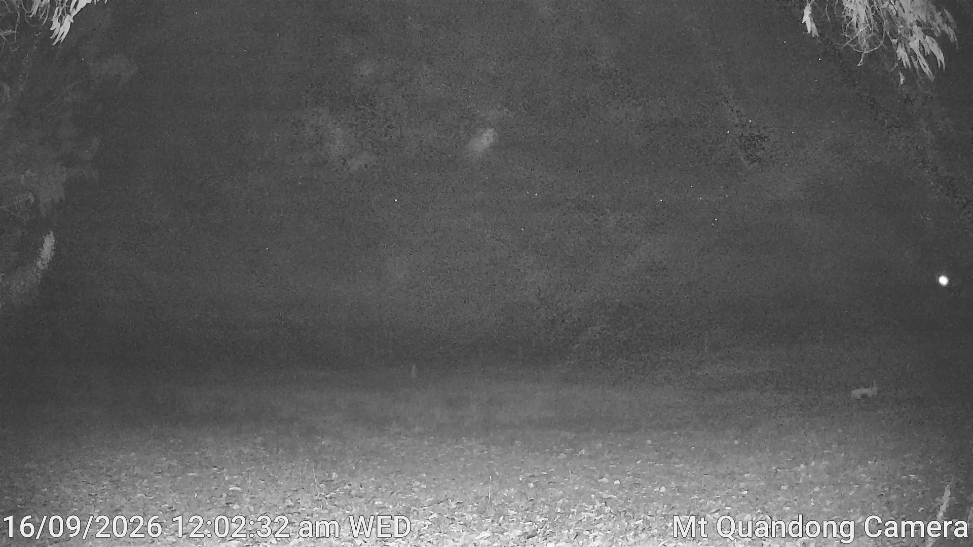 time-lapse frame, Mt Quandong Camera webcam