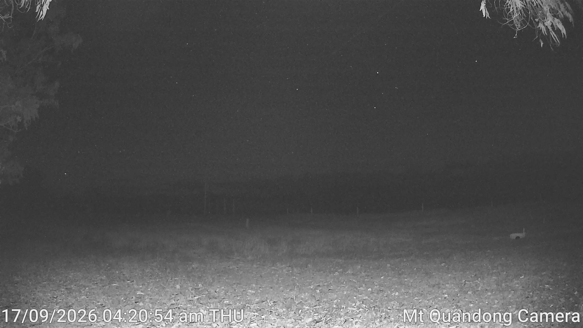 Mt Quandong Camera animated GIF