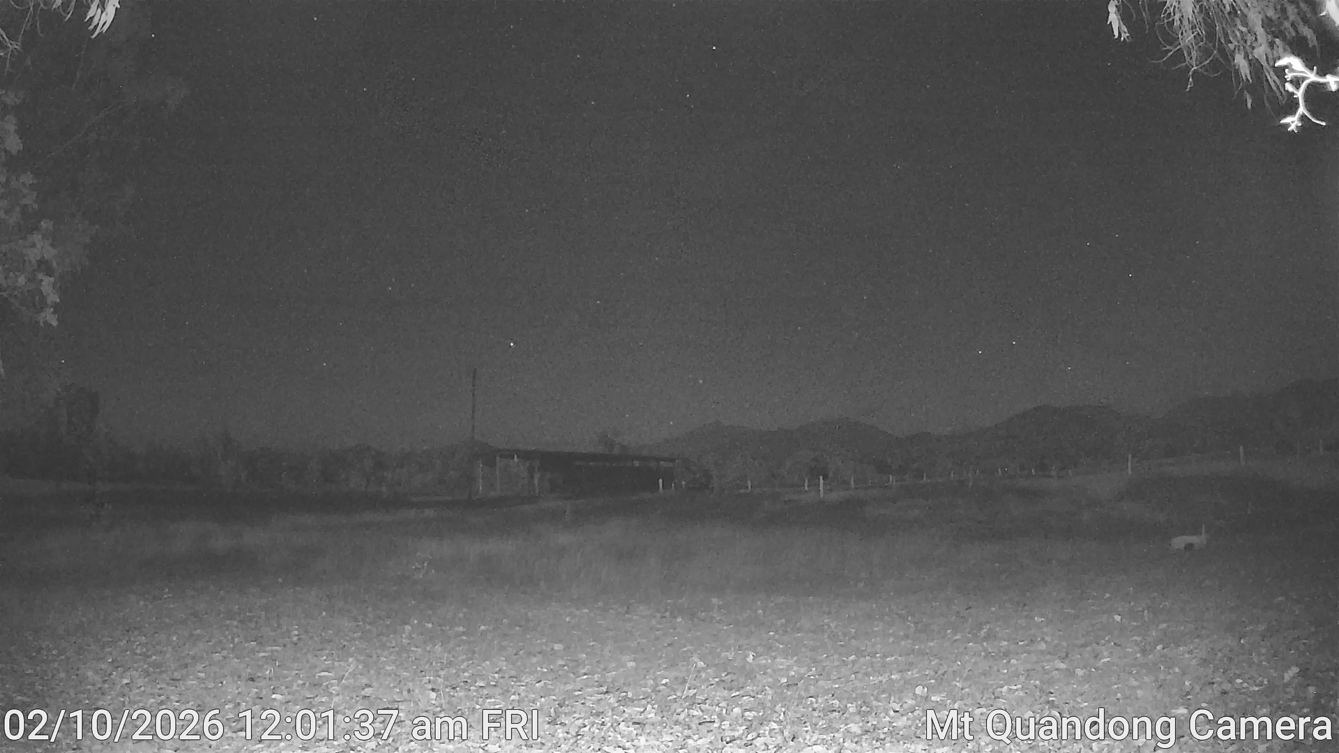 time-lapse frame, Mt Quandong Camera webcam