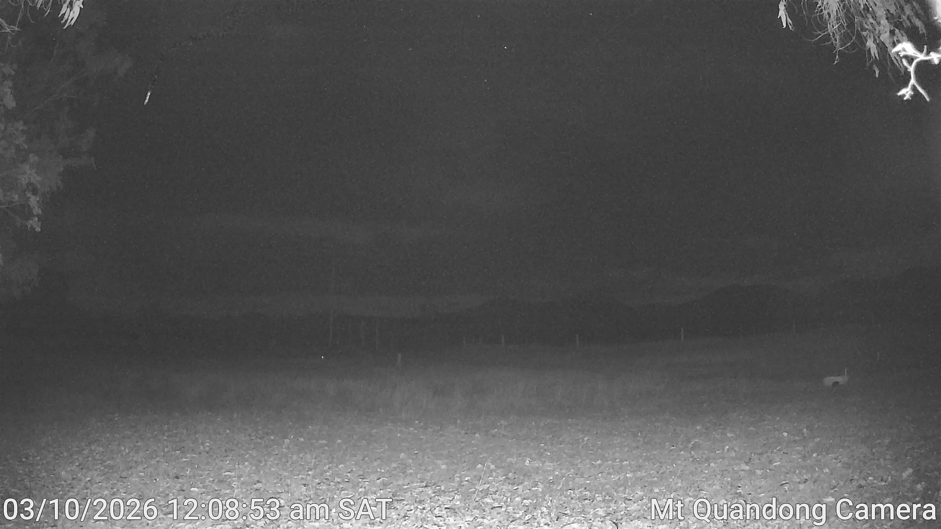 time-lapse frame, Mt Quandong Camera webcam