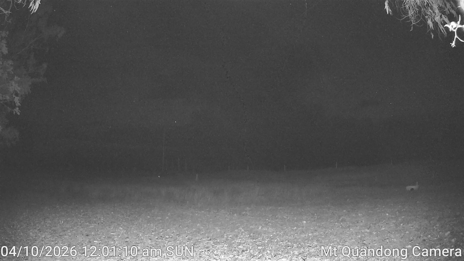 time-lapse frame, Mt Quandong Camera webcam