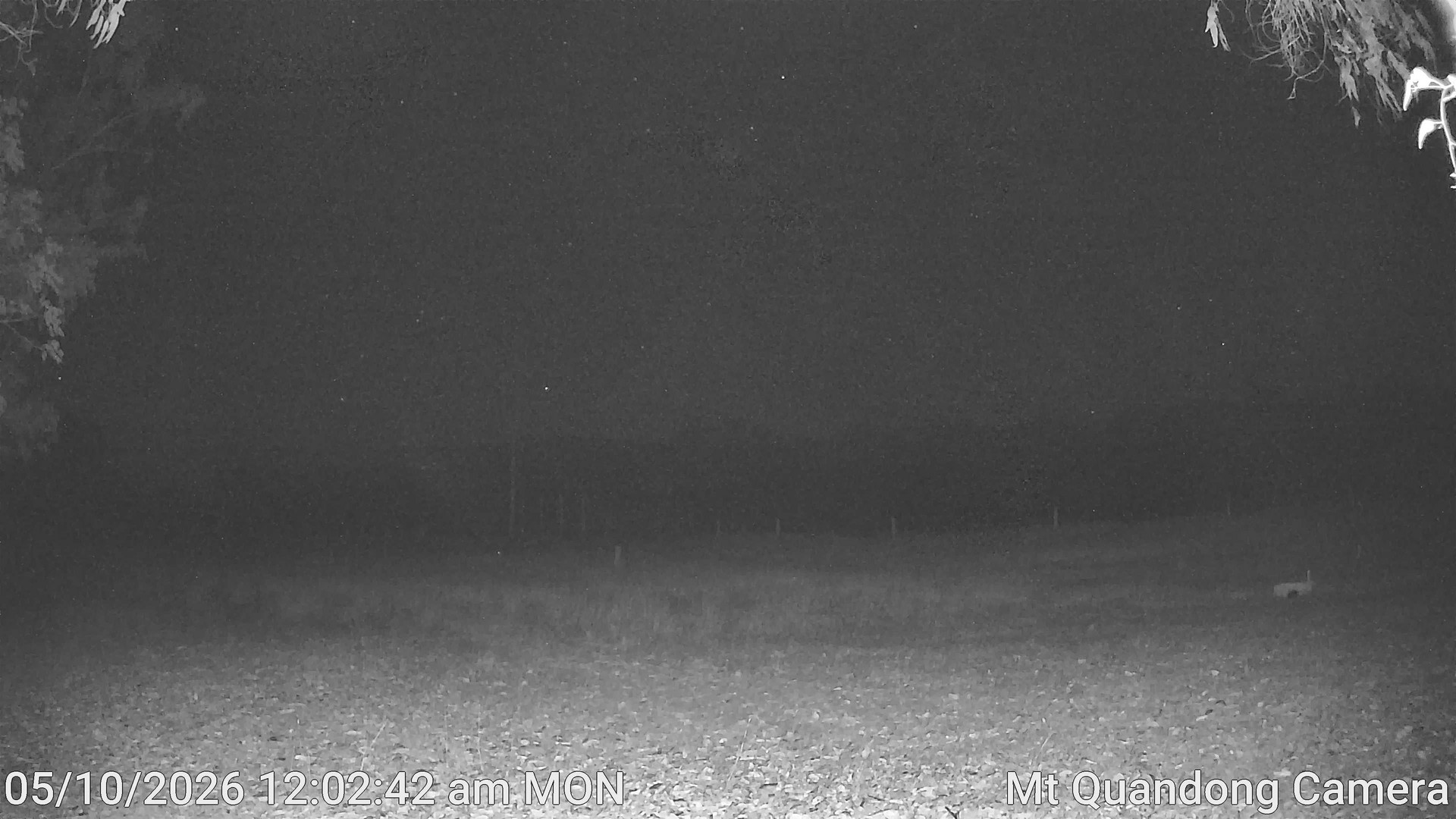 time-lapse frame, Mt Quandong Camera webcam