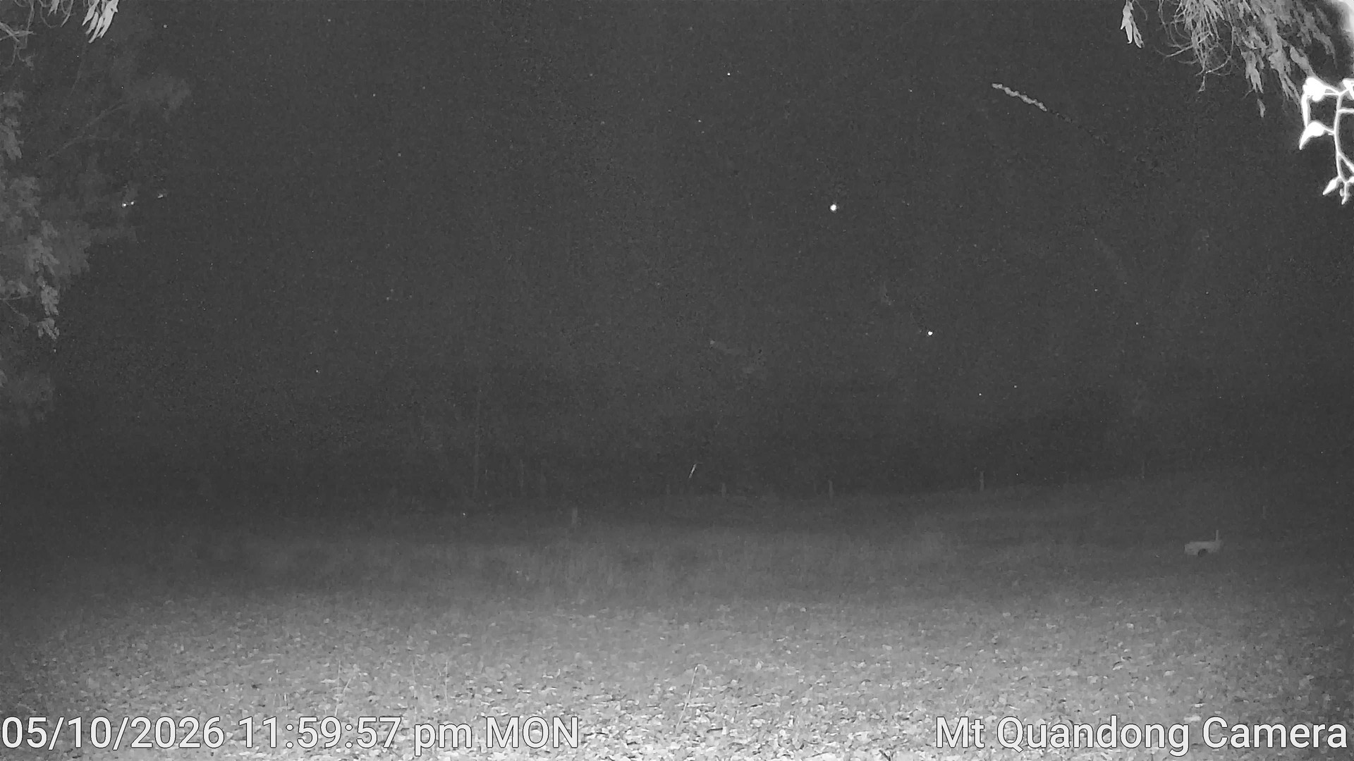 time-lapse frame, Mt Quandong Camera webcam