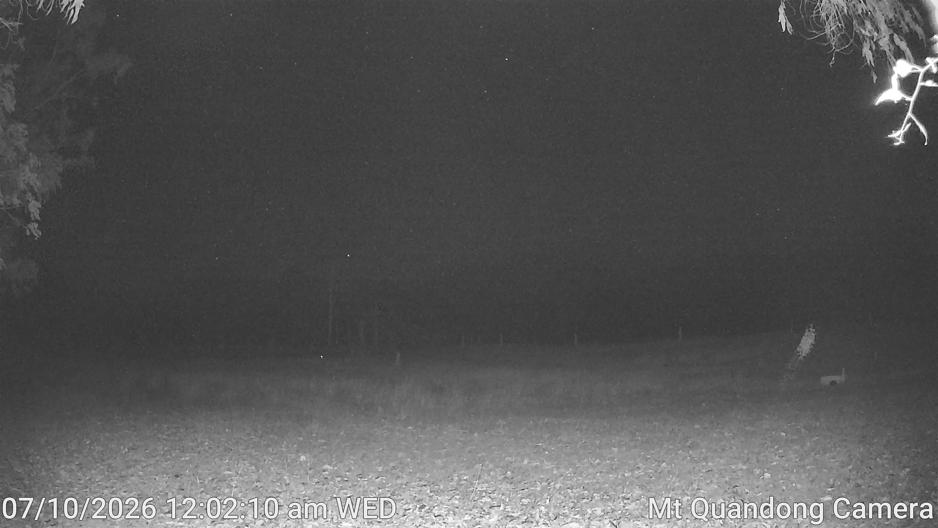time-lapse frame, Mt Quandong Camera webcam