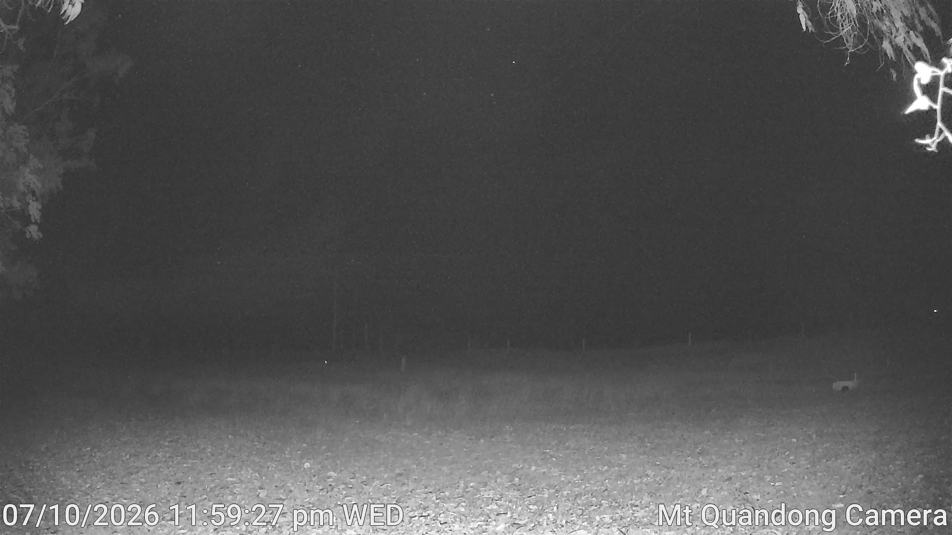 time-lapse frame, Mt Quandong Camera webcam