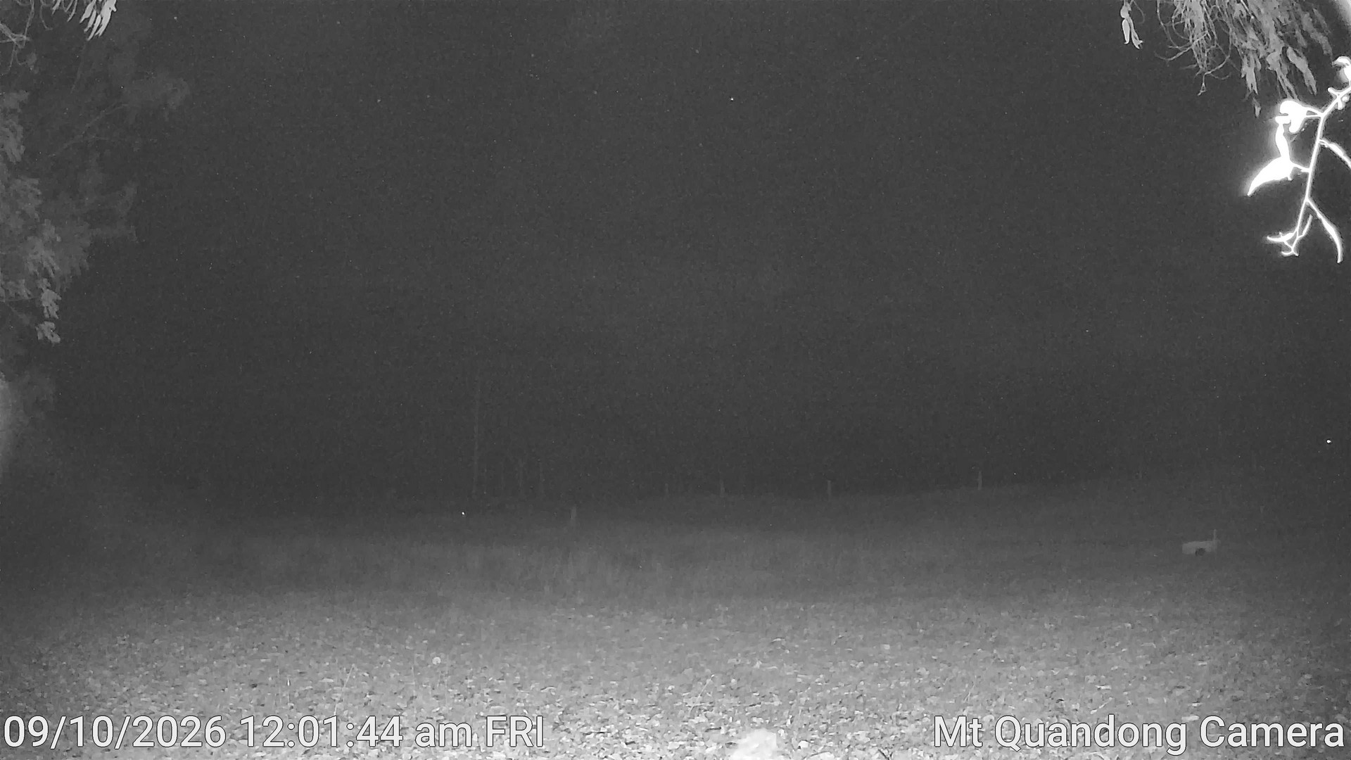 time-lapse frame, Mt Quandong Camera webcam