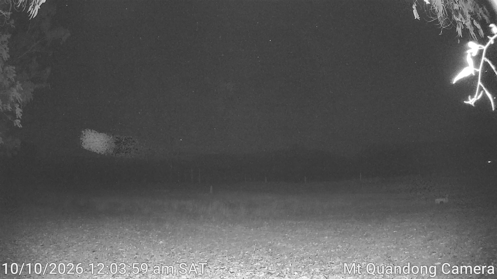 time-lapse frame, Mt Quandong Camera webcam