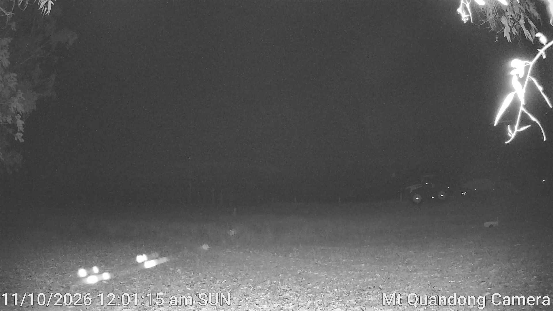 time-lapse frame, Mt Quandong Camera webcam