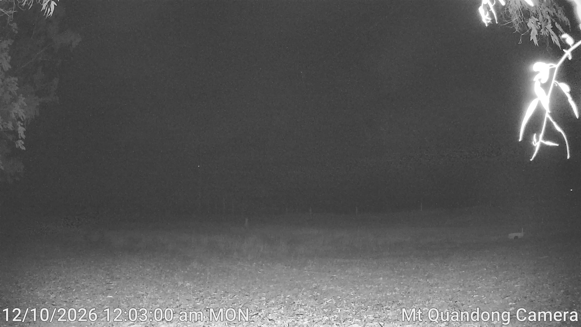 time-lapse frame, Mt Quandong Camera webcam