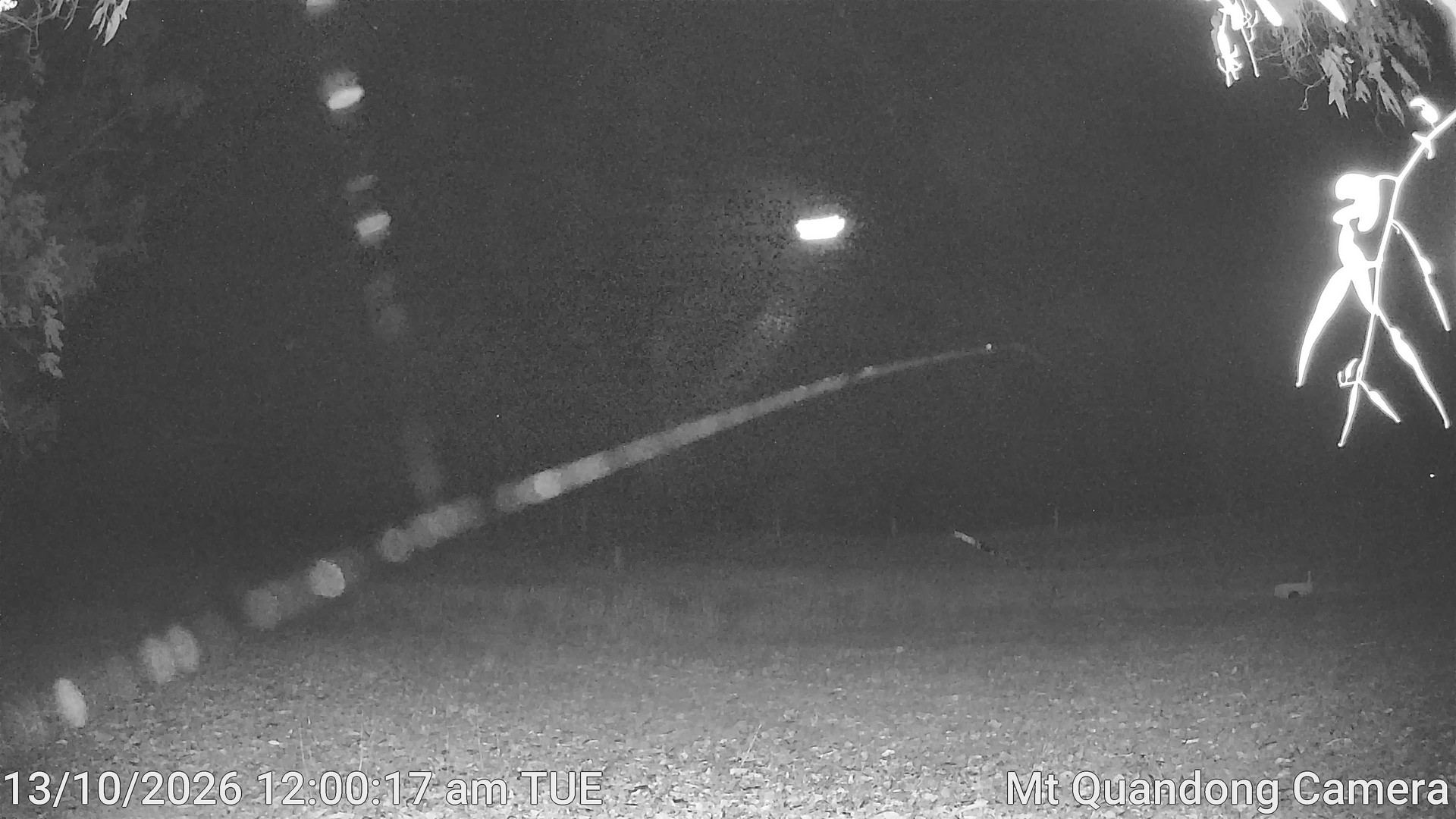 time-lapse frame, Mt Quandong Camera webcam