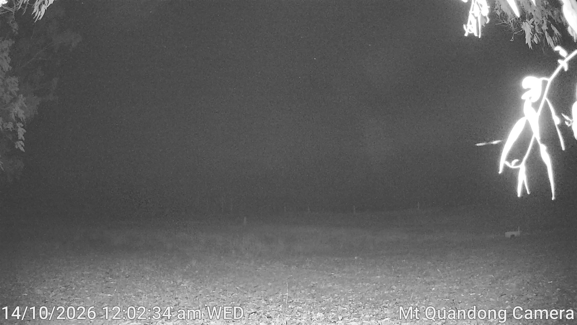 time-lapse frame, Mt Quandong Camera webcam