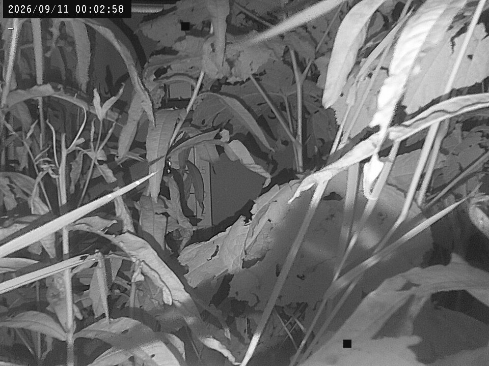 time-lapse frame, Weather Cam webcam