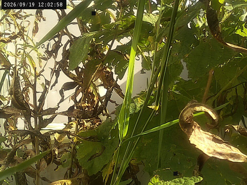 view from Weather Cam on 2026-09-19