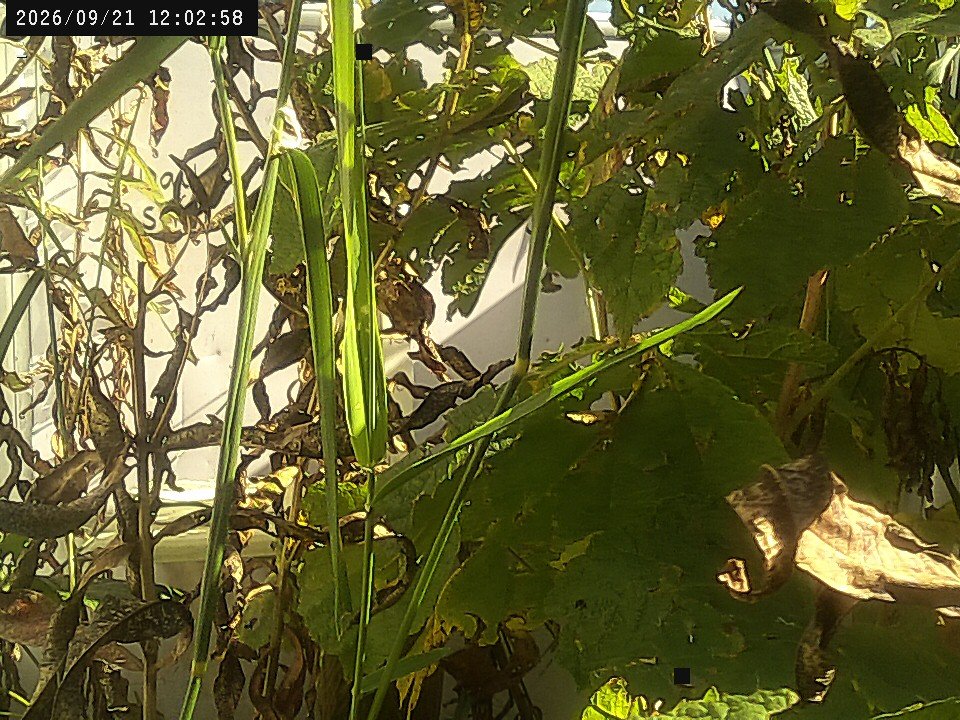 view from Weather Cam on 2026-09-21