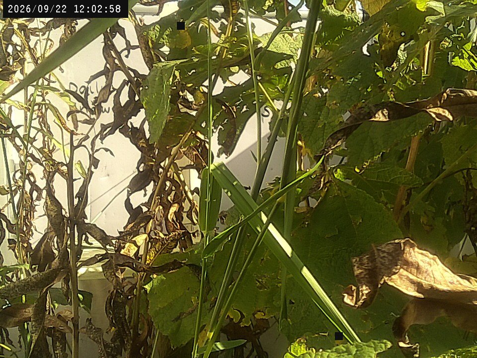view from Weather Cam on 2026-09-22